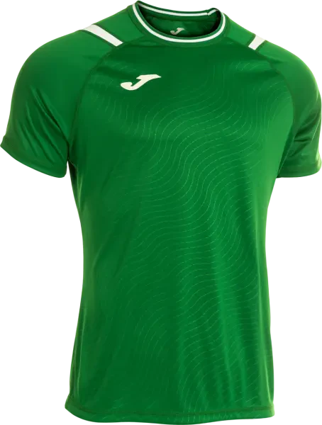Joma Dinamo II Shirt - Green / White