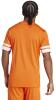 JC8674-5-APPAREL-On-Model-Back-View-white-OXHL-22527.jpg