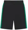 lv886-black-emerald-ft.webp